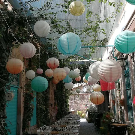 Sahmeran * Ayvalı