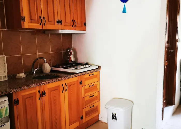 Sahmeran Penzion Ayvalı